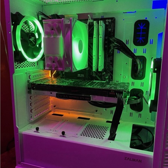 Meet your Posher, Polly - Picture 7 of 7